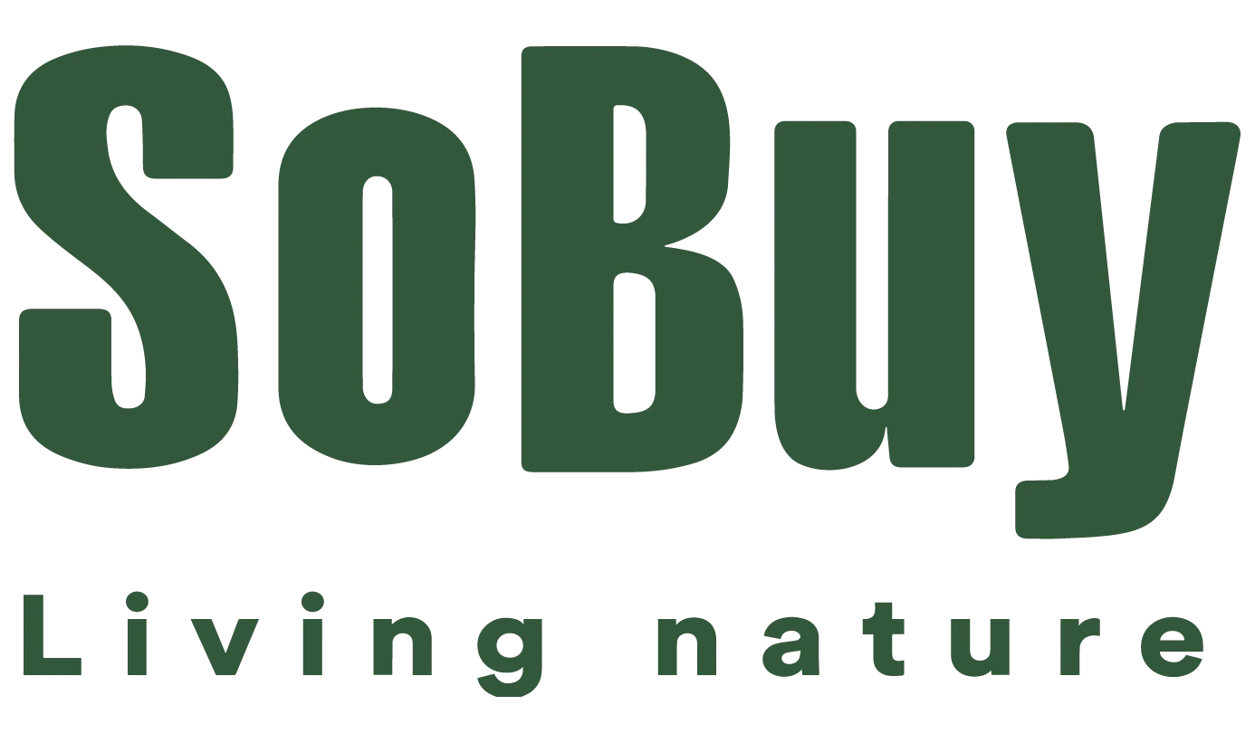 SoBuy